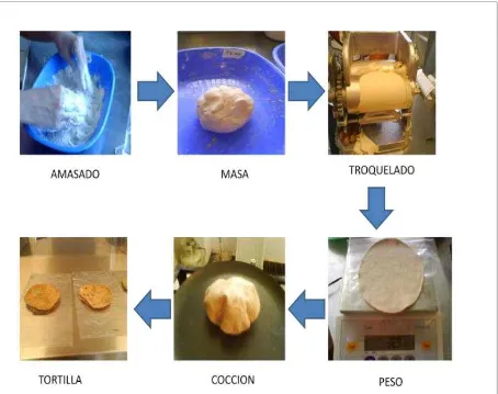 Evaluación de mezclas de harina de malanga y maíz para elaborar tortillas.
