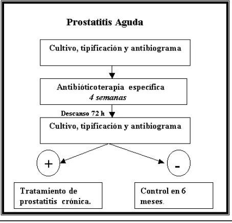 prostatitis bacteriana aguda fisiopatologia