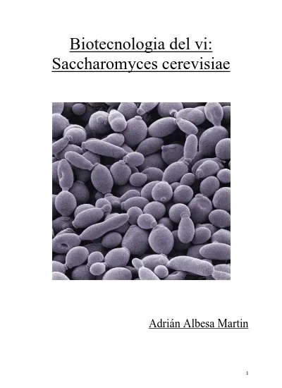 Pdf Superior Biotecnologia Del Vi Saccharomyces Cerevisiae 1library Co
