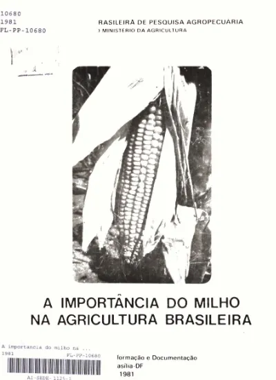A Importância Do Milho Na Agricultura Brasileira 3833